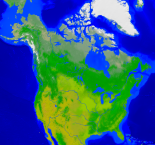 Amerika-Nord Vegetation 4000x3722